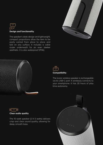 Speaker Iconic Grey - 1
