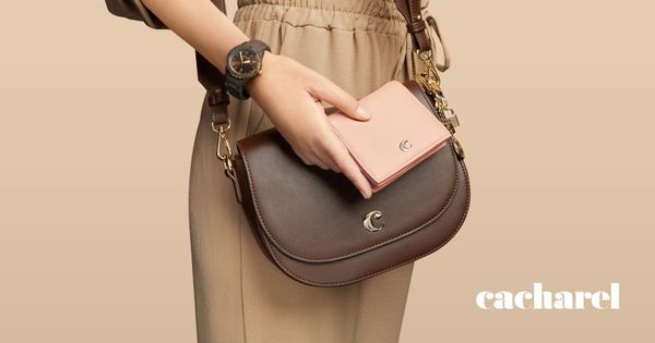 Lady bag Albane Brown - 4