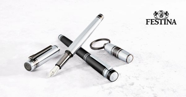 Fountain pen Bold Stripe Chrome & Gun - 2